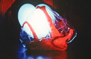 Amnion, 1974; Solo Dance performance with large 6ml clear plastic zippered sac, blue acrylic heart with flourescent fixture.