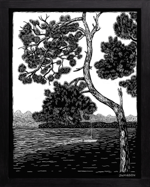 products/prints/B&W prints/Pine Tree